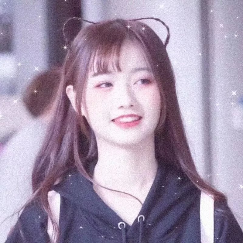 血鲨