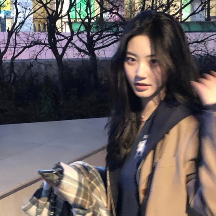 威灵顿战线